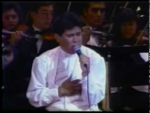 proyecto PACHA - picaflor