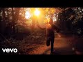 The Blackout - Wolves 