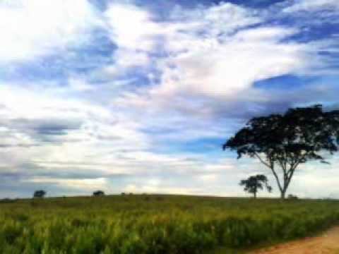 Hino 29 em Italiano - Eliseu