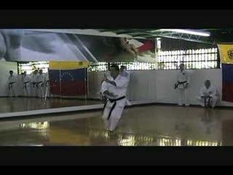 SOCHIM SHITO RYU HECTOR DE LIMA