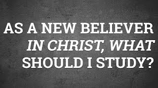 As a New Believer in Christ, What Should I Study?