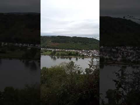 Morgen - Erwachen am Rhein bei Osterspai mit dem super Bartmann