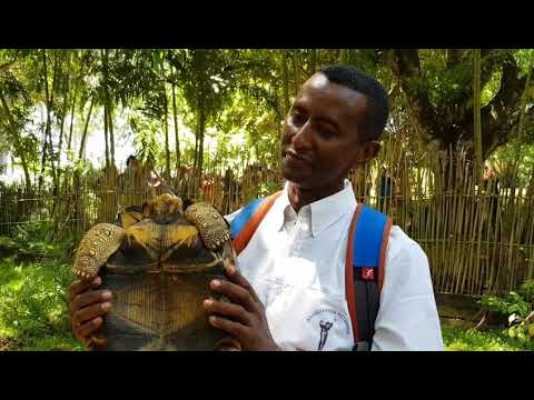 Madagaskar. Ehoala. Fort  Dauphin