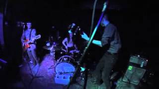 Wave of Paranoia Live