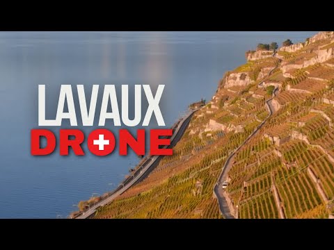 Lavaux | Switzerland Drone Cinematic