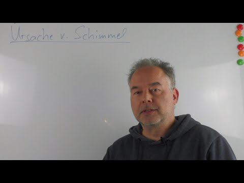 3 - Ursache von Schimmel in Innenräumen - Woher kommt Schimmel in Innenräumen