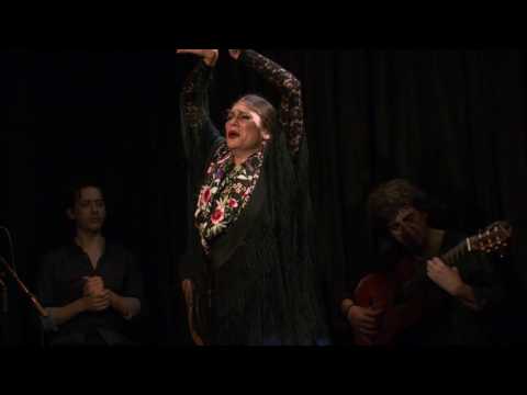 CASA PATAS, FLAMENCO EN VIVO #274 - LA CHIMI