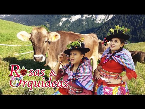 Rosas y Orquídea -  Tu Tienes la Culpa   (Vídeo Oficial) 2016 ▶ HD ◀ ♫