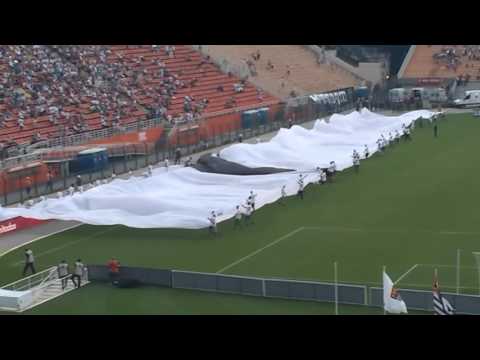 O maior bandeirão do mundo ( vai reclamar com a FIFA )