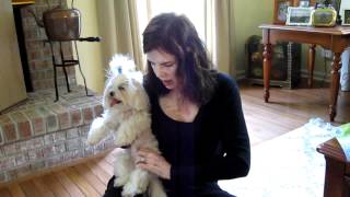 PT for luxating patella