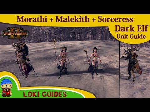 Dark Elf Unit Guide: Morathi & Malekith & Sorceress - Total War: Warhammer 2 Army Review