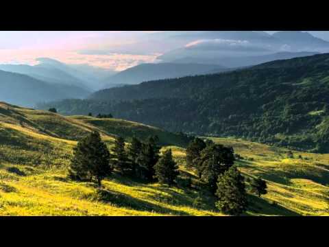 Sibelius - Dance of the Nymphs (from The Tempest, Op 109) - Beecham