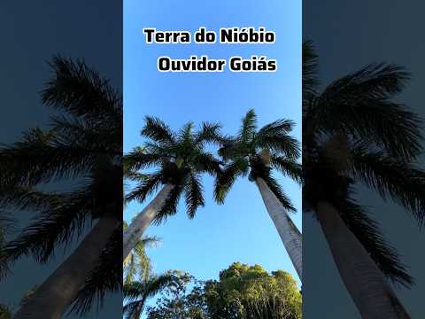 Fim de tarde na terra do nióbio #ouvidor #goias #brasil #viral #fimdetarde