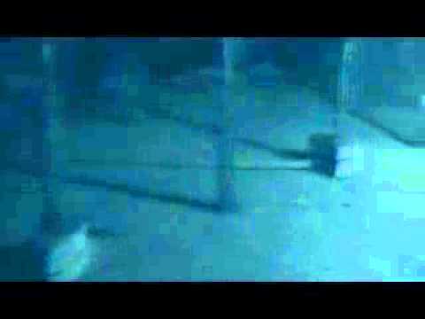 Il Ritorno di Jenny Strike !!!!!