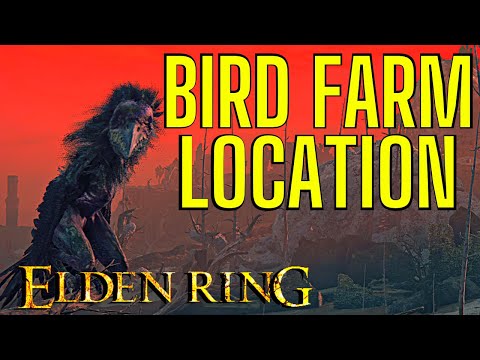 YouTube video about: How to get to the bird farm elden ring?