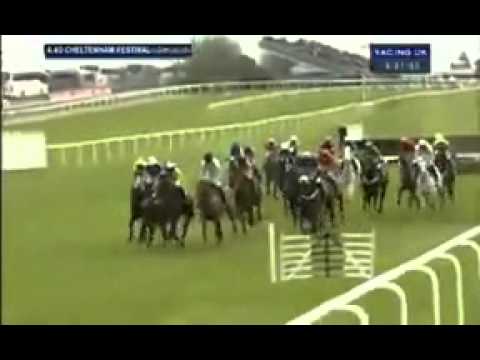 Galaxy Rock carrying JT McNamara falls at the first fence