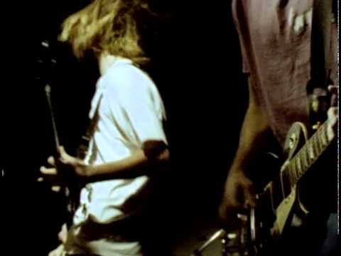 Island Of Shame video