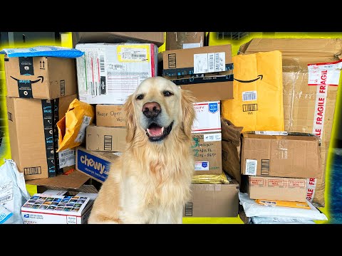 HUGE FAN MAIL PO BOX OPENING! (Super Cooper Sunday #251)