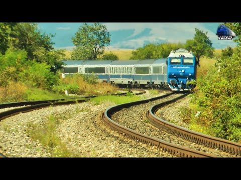 Horns Show de Goarne By Jimmy 64-1357-4 in Munții Apuseni Mountains - 08 September 2021