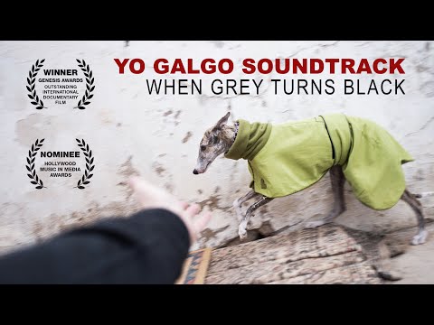 When grey turns black - Unseen material from the documentary Yo Galgo .