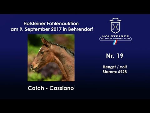 Nr. 19 v. Catch - Cassiano