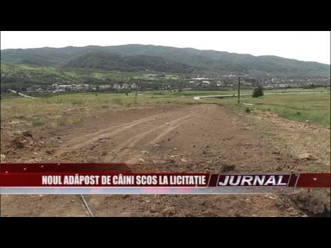 stire 12 08 2015   anima daje