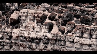 Arqueología Mexicana: Tzompantli: semillas de vida
