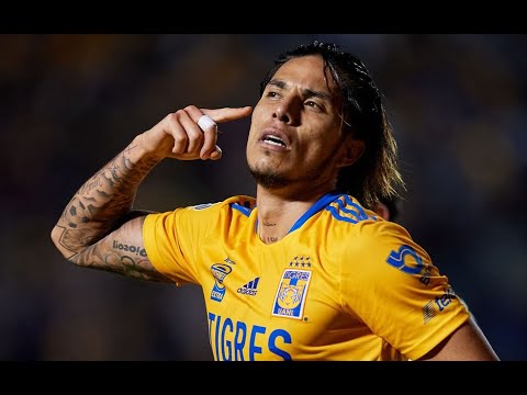 Tigres vs Santos Cuartos de final vuelta - Gol de Carlos Salcedo desde la tribuna