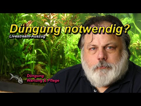 Muss ich mein Aquarium düngen - ist Düngung unbedingt erforderlich?
