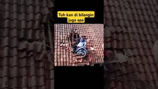 Download lagu begini nih kalo ibu ibu baru bisa naik motor #shorts #tranding #naikmotor mp3