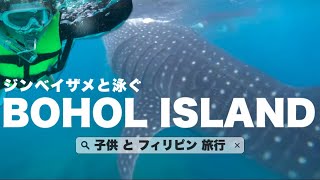 【フィリピン旅行🇵🇭】ジンベイザメと泳ぐ！フィリピン・ボホール島旅行