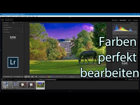 Farben in Lightroom super einfach bearbeiten