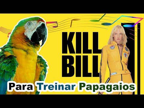 assobio kill bill para papagaio - canto para treinar papagaio