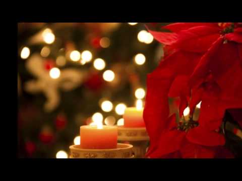 Klapa Sagena Iz pojarske štalice