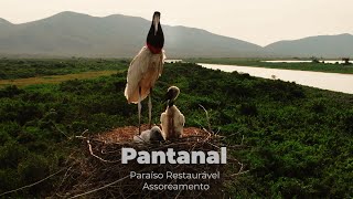 "Pantanal: Paraíso Restaurável -  Assoreamento" de Sandro Kakabadze