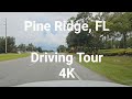 Pine Ridge FL Driving Tour 4K 60FPS Aug 2023