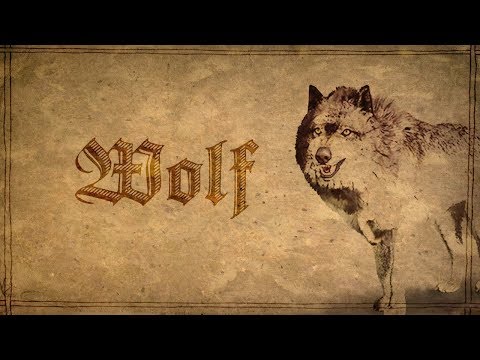 Wolfs Bestiary entry - The Witcher 3 Lore & Mythology