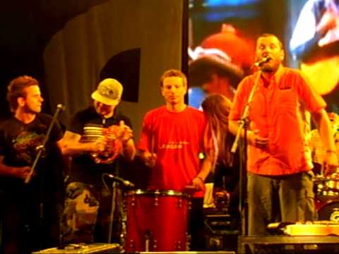 Divokej Bill & Medvěd 009 - Alkohol