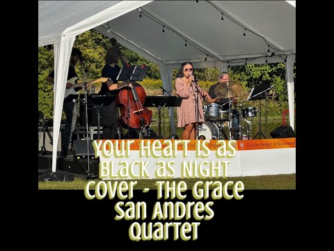 Promotional video thumbnail 2 for The Grace San Andres Quartet