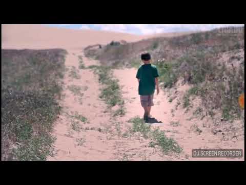 Os escorpiões mais perigosos do mundo 😨😨