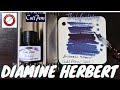 Diamine Herbert Fountain Pen Ink from Cult Pens (21)