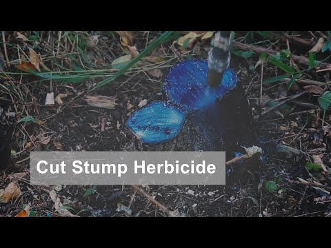 Cut Stump: Herbicide Treatments