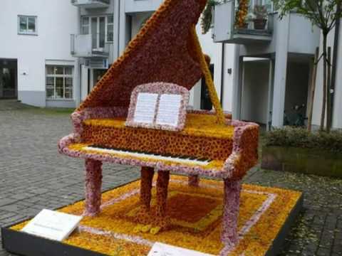 My Choice 651 - Ziehrer: Liebesrezepte, Walzer Op. 434