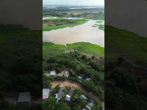 Nueva estrella SUCRE | Un pueblo que lleva su tierra en el corazón ❤️#colombia  #Corozal