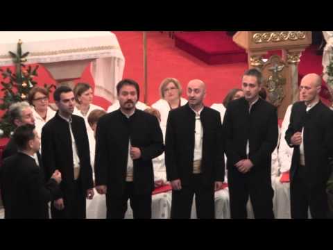 Kolapjani u Sisačkoj katedrali - Narodi nam se kralj nebeski