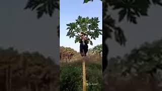 Download lagu Vidio lucu| di jamin bikin ngakak abis😂 mp3