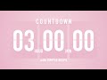 3 Hours Countdown Flip Clock Timer / Simple Beeps 🌸🔔