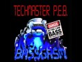 Techmaster P.E.B. - Electronic Power