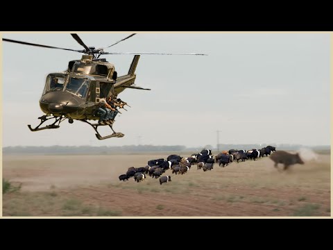 Special Video: How Do American Hunters And Farmers Deal With 30 Million Of Wild Boar By Guns