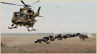 Download lagu Special Video: How Do American Hunters And Farmers Deal With 30 Million Of Wild Boar By Guns mp3 Download lagu Special Video: How Do American Hunters And Farmers Deal With 30 Million Of Wild Boar By Guns mp3